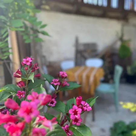 Tradicionalna Kuca Biljkinog Oca Villa Lug Exterior photo