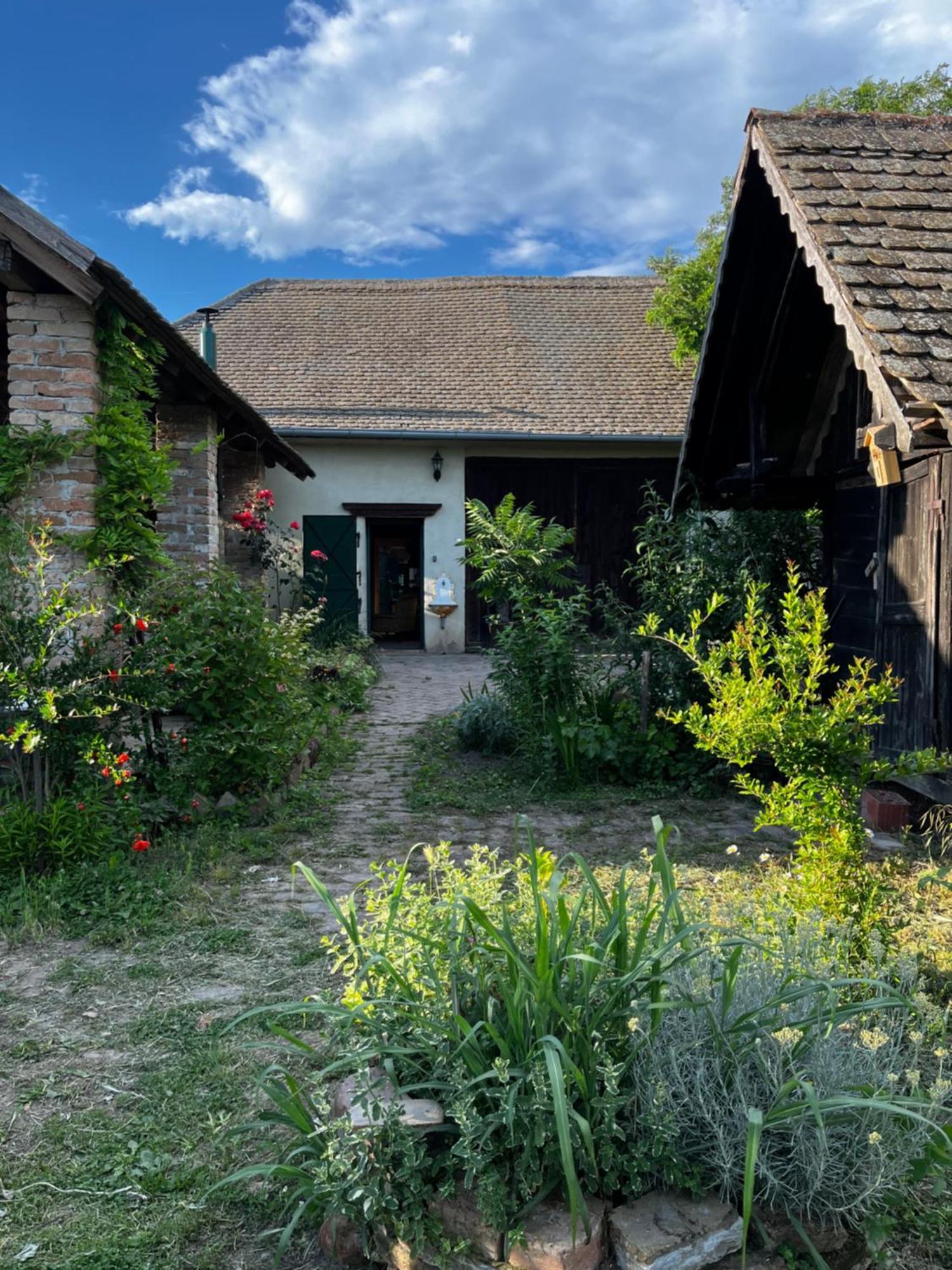 Tradicionalna Kuca Biljkinog Oca Holiday home *