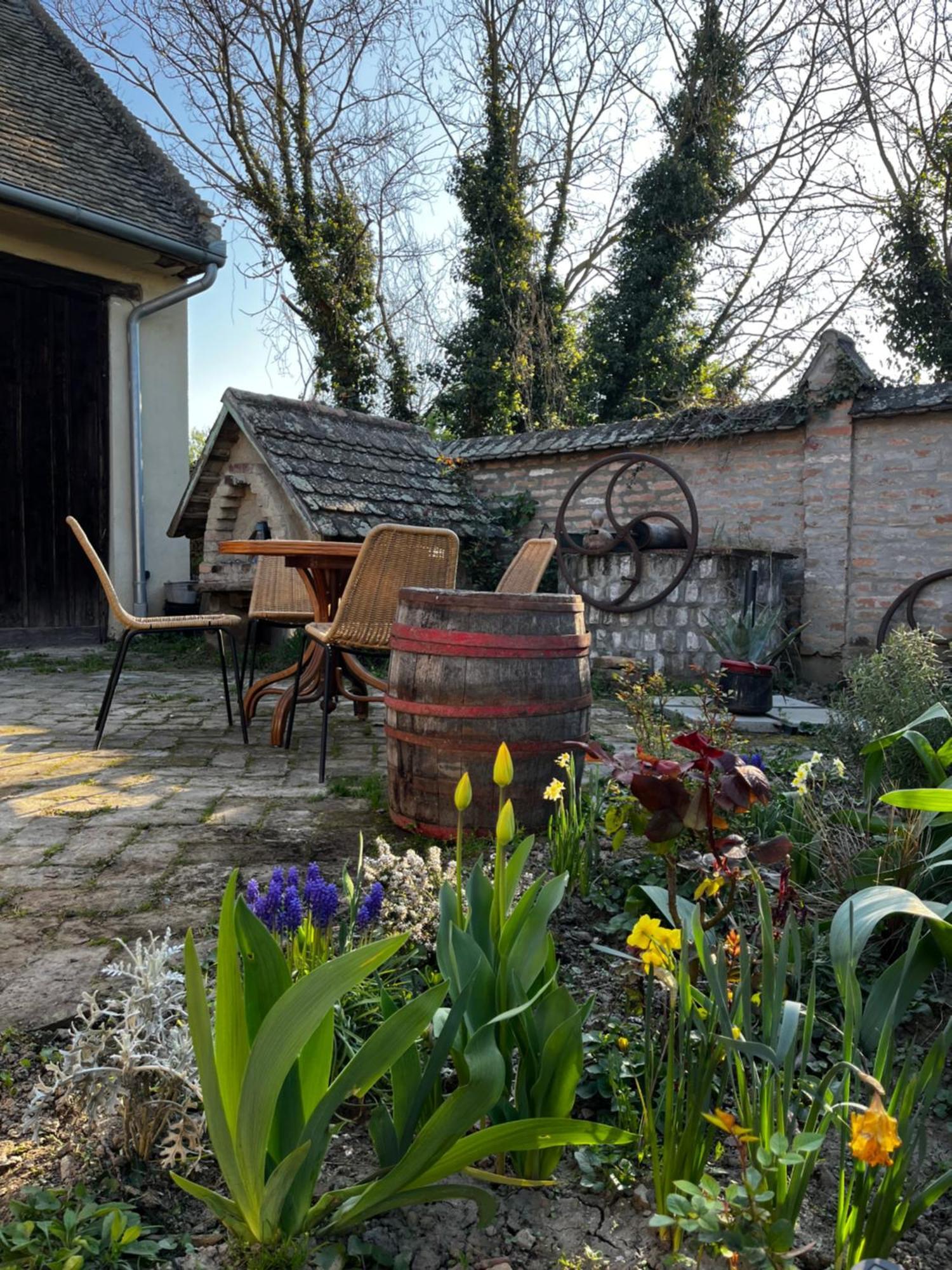 Tradicionalna Kuca Biljkinog Oca Holiday home Lug